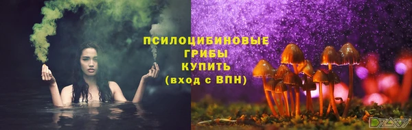 шишки Баксан
