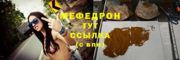 прущие грибы Новосибирск