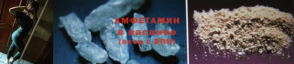 сатива Калининец
