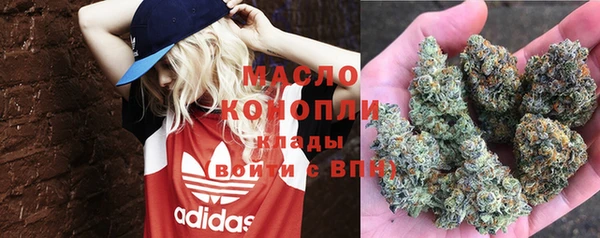 шишки Баксан
