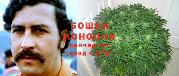 a pvp Аркадак