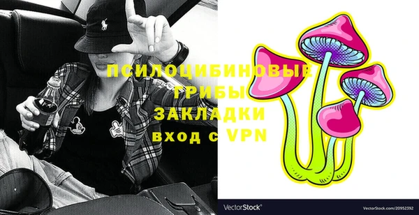 герыч Арсеньев