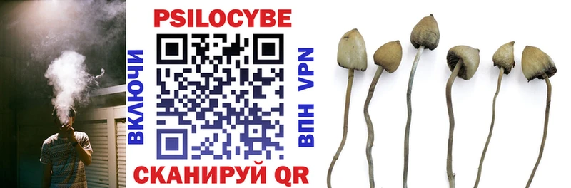 Псилоцибиновые грибы Magic Shrooms  Ейск 